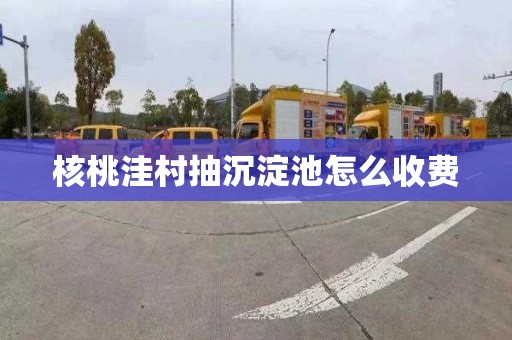 核桃洼村抽沉淀池怎么收费