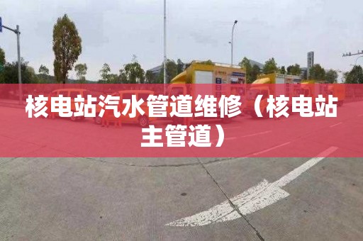 核电站汽水管道维修（核电站主管道）