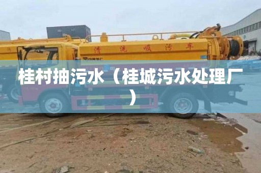 桂村抽污水（桂城污水处理厂）