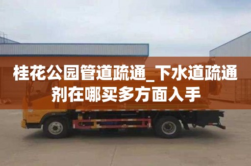 桂花公园管道疏通_下水道疏通剂在哪买多方面入手