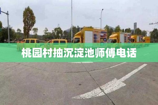 桃园村抽沉淀池师傅电话