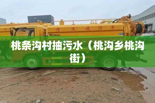 桃条沟村抽污水（桃沟乡桃沟街）