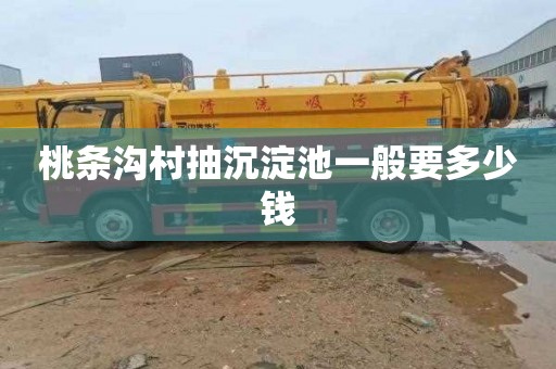 桃条沟村抽沉淀池一般要多少钱
