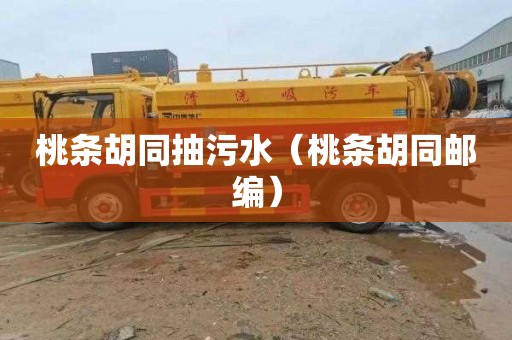 桃条胡同抽污水（桃条胡同邮编）