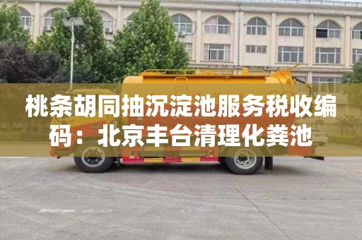 桃条胡同抽沉淀池服务税收编码：北京丰台清理化粪池