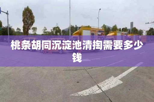 桃条胡同沉淀池清掏需要多少钱