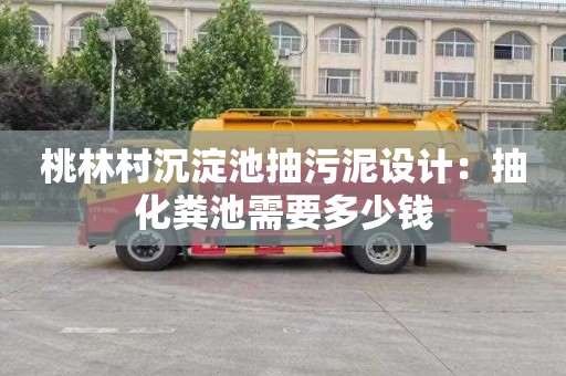 桃林村沉淀池抽污泥设计：抽化粪池需要多少钱