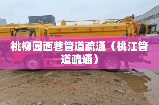 桃柳园西巷管道疏通（桃江管道疏通）