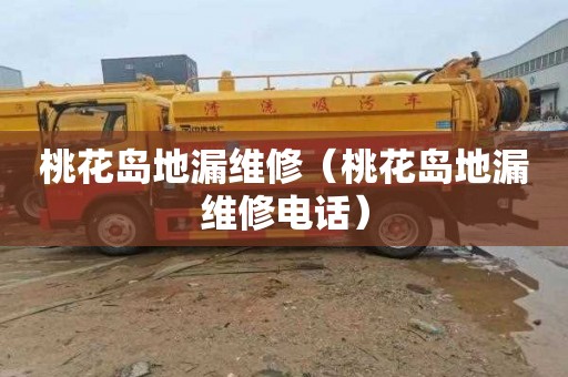 桃花岛地漏维修（桃花岛地漏维修电话）