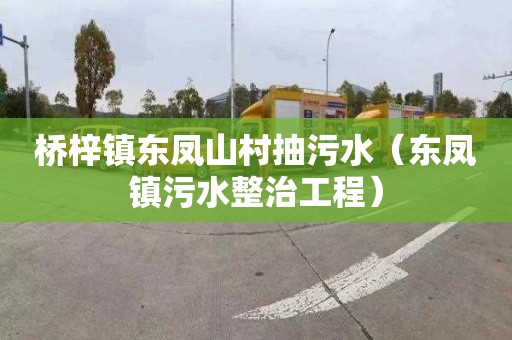 桥梓镇东凤山村抽污水（东凤镇污水整治工程）