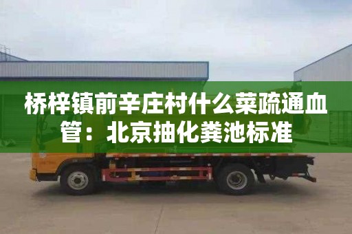 桥梓镇前辛庄村什么菜疏通血管：北京抽化粪池标准