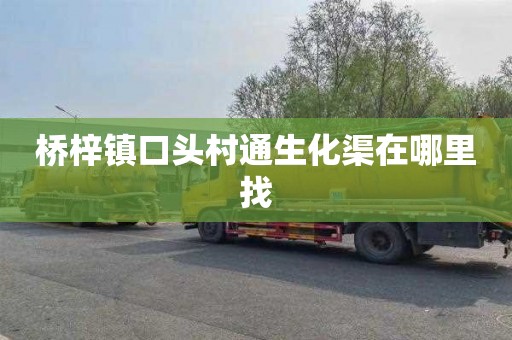 桥梓镇口头村通生化渠在哪里找