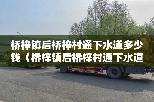桥梓镇后桥梓村通下水道多少钱（桥梓镇后桥梓村通下水道多少钱一平方）