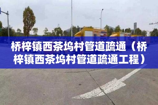 桥梓镇西茶坞村管道疏通（桥梓镇西茶坞村管道疏通工程）
