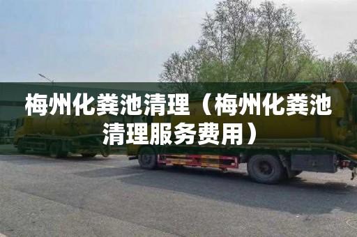 梅州化粪池清理（梅州化粪池清理服务费用）