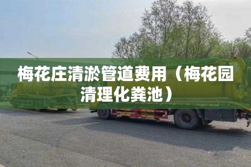 梅花庄清淤管道费用（梅花园清理化粪池）