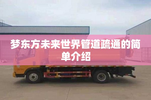 梦东方未来世界管道疏通的简单介绍