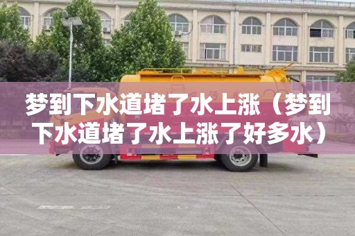 梦到下水道堵了水上涨（梦到下水道堵了水上涨了好多水）