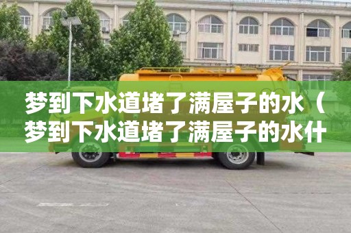梦到下水道堵了满屋子的水（梦到下水道堵了满屋子的水什么意思）
