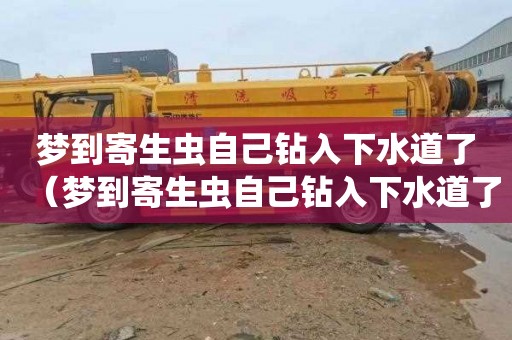 梦到寄生虫自己钻入下水道了（梦到寄生虫自己钻入下水道了什么意思）