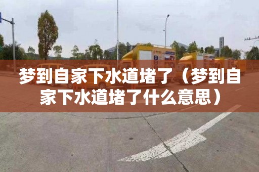 梦到自家下水道堵了（梦到自家下水道堵了什么意思）