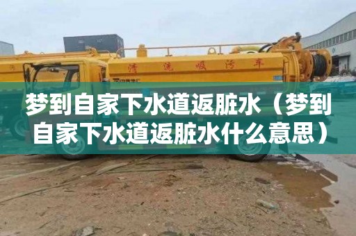 梦到自家下水道返脏水（梦到自家下水道返脏水什么意思）