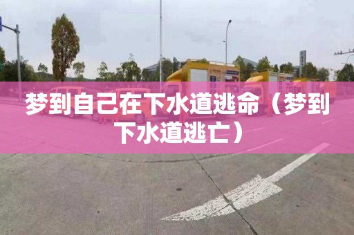 梦到自己在下水道逃命（梦到下水道逃亡）