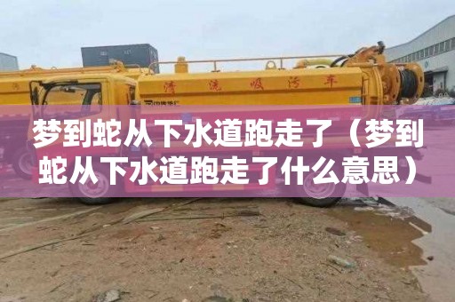 梦到蛇从下水道跑走了（梦到蛇从下水道跑走了什么意思）