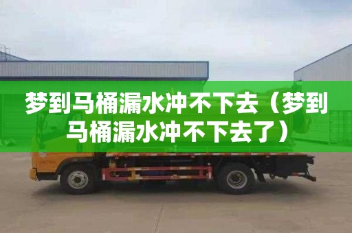 梦到马桶漏水冲不下去（梦到马桶漏水冲不下去了）