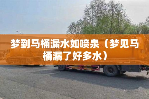 梦到马桶漏水如喷泉（梦见马桶漏了好多水）
