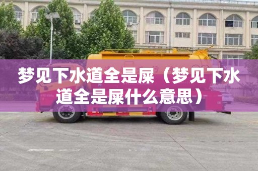 梦见下水道全是屎（梦见下水道全是屎什么意思）