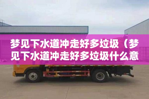 梦见下水道冲走好多垃圾（梦见下水道冲走好多垃圾什么意思）