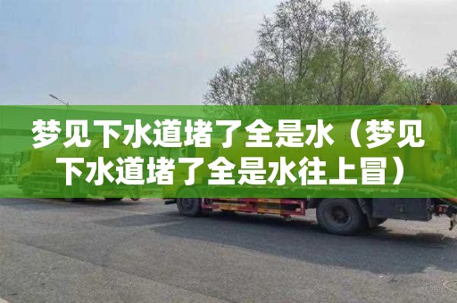 梦见下水道堵了全是水（梦见下水道堵了全是水往上冒）