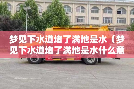 梦见下水道堵了满地是水（梦见下水道堵了满地是水什么意思）