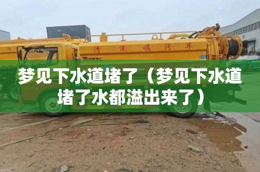 梦见下水道堵了（梦见下水道堵了水都溢出来了）