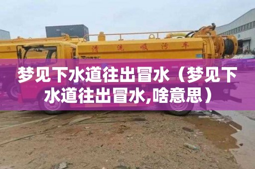 梦见下水道往出冒水（梦见下水道往出冒水,啥意思）