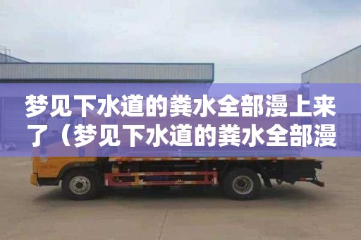 梦见下水道的粪水全部漫上来了（梦见下水道的粪水全部漫上来了又通了）