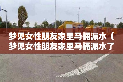 梦见女性朋友家里马桶漏水（梦见女性朋友家里马桶漏水了）