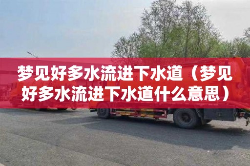 梦见好多水流进下水道（梦见好多水流进下水道什么意思）