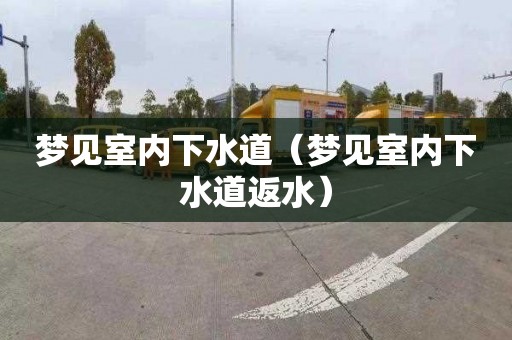 梦见室内下水道（梦见室内下水道返水）