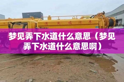 梦见弄下水道什么意思（梦见弄下水道什么意思啊）