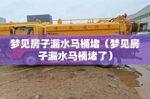 梦见房子漏水马桶堵（梦见房子漏水马桶堵了）