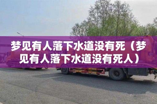 梦见有人落下水道没有死（梦见有人落下水道没有死人）