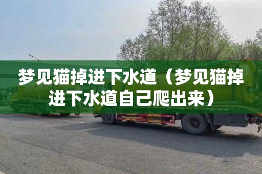 梦见猫掉进下水道（梦见猫掉进下水道自己爬出来）