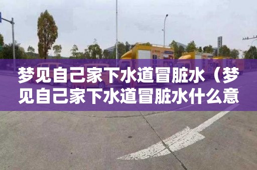 梦见自己家下水道冒脏水（梦见自己家下水道冒脏水什么意思）