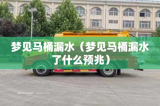 梦见马桶漏水（梦见马桶漏水了什么预兆）