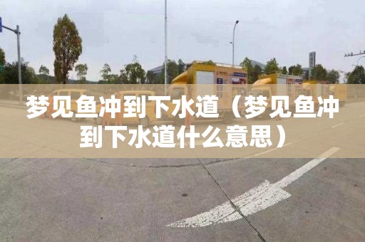梦见鱼冲到下水道（梦见鱼冲到下水道什么意思）