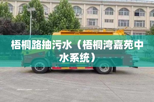 梧桐路抽污水（梧桐湾嘉苑中水系统）