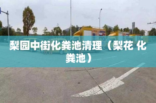 梨园中街化粪池清理（梨花 化粪池）