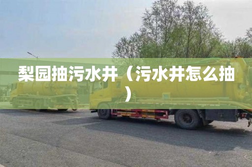 梨园抽污水井（污水井怎么抽）